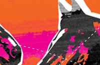 Thoroughbred horse breeding and sales