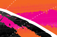 Thoroughbred horse breeding and sales